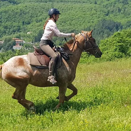 Rifugio Prategiano Agroturismo *